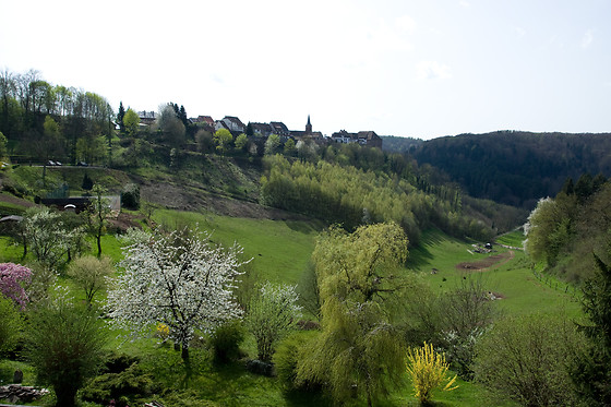 Hôtel Aux Trois Roses - photo 12
