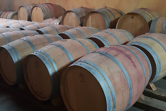 BODEGAS PALACIO DE LERMA - photo 4