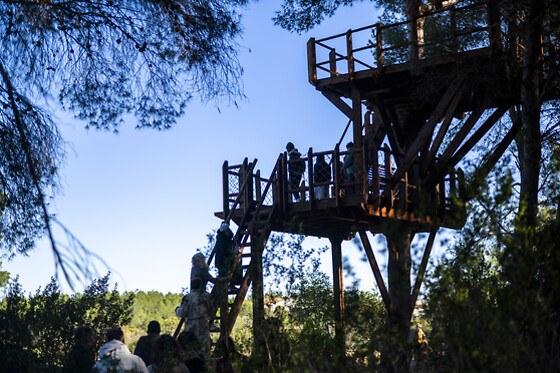 MONTGO MIEL - photo 7