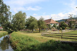 Eselhof Säge