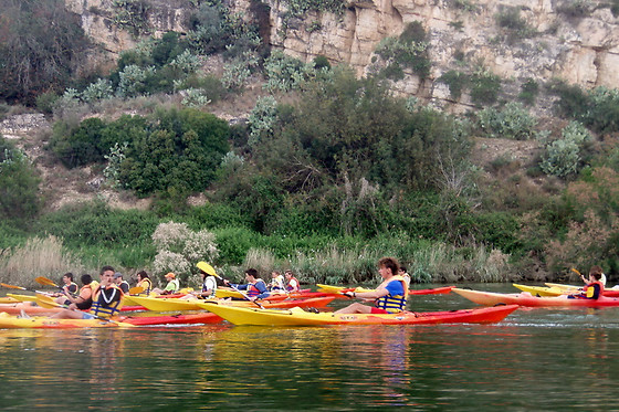 PARC D'AVENTURA I NATURA DELTAVENTUR - photo 0