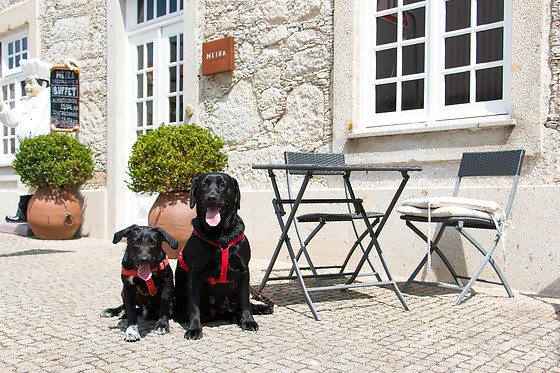 HOTEL MEIRA - photo 11