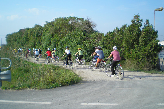 PARC D'AVENTURA I NATURA DELTAVENTUR - photo 17
