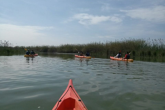PARC D'AVENTURA I NATURA DELTAVENTUR - photo 9