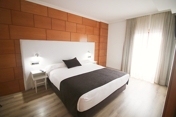 HOTEL ALFONSO I - photo 4