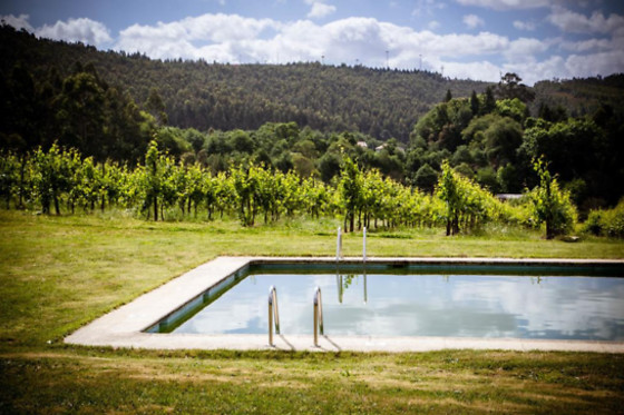 QUINTA DE LOUROSA - photo 5