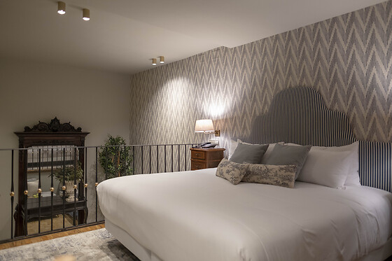 HOTEL CETINA PALACIO DE LOS SALCEDO - photo 16