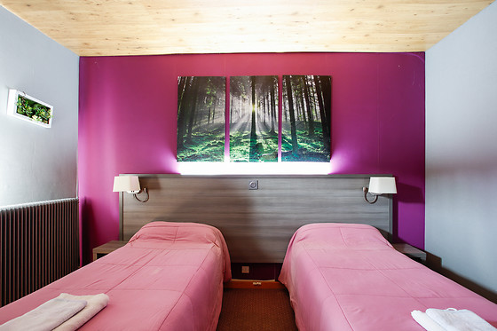 Les Chamois - photo 7