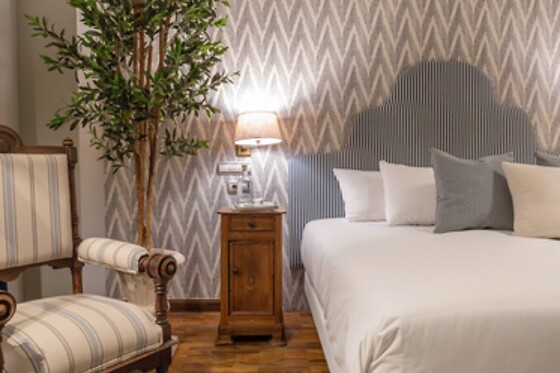 HOTEL CETINA PALACIO DE LOS SALCEDO - photo 5