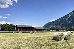 Swiss Dojo