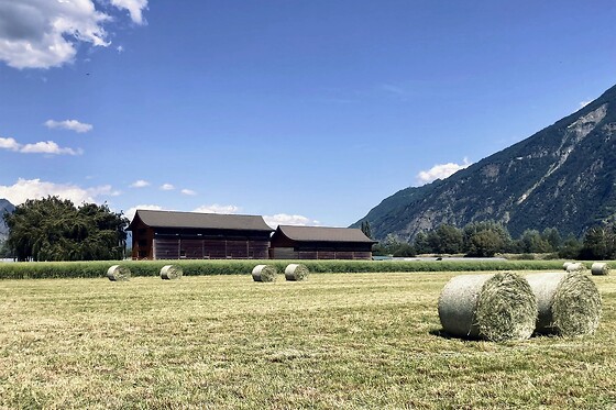 Swiss Dojo - photo 0