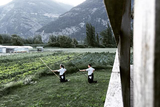 Swiss Dojo - photo 3
