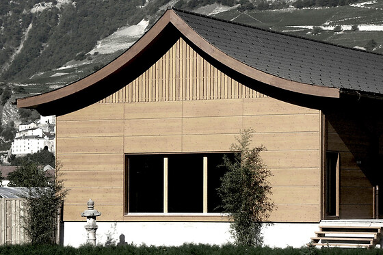 Swiss Dojo - photo 5