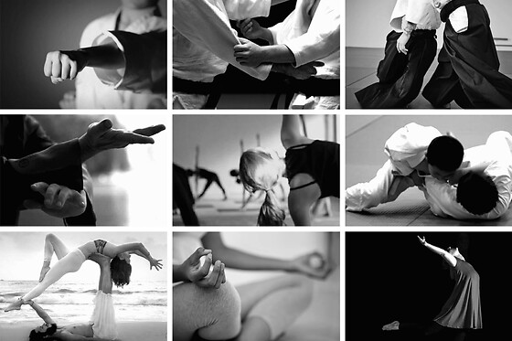Swiss Dojo - photo 7