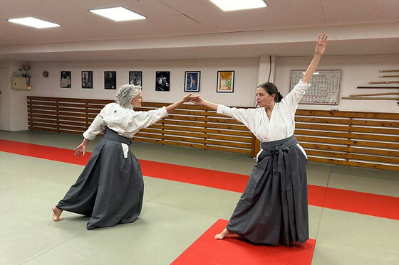 Swiss Dojo - photo 1