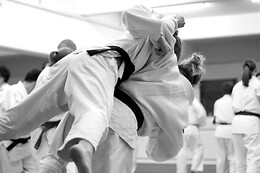 Swiss Dojo