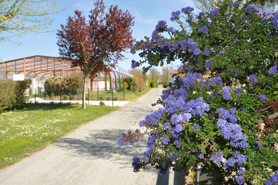 Camping L'Abri-Cotier - Flower Campings - photo 5