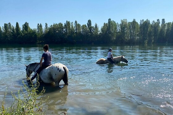 Le Ranch du Bonheur - photo 3