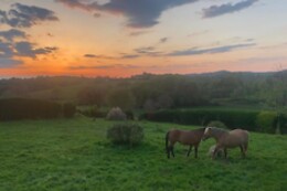 Le Ranch du Bonheur