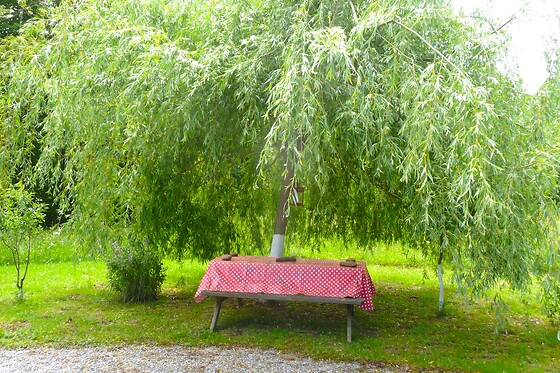 Au Coeur du Bois - photo 19