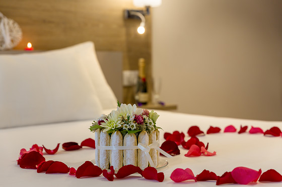 SURE HOTEL BY BEST WESTERN DIJON SUD - photo 3