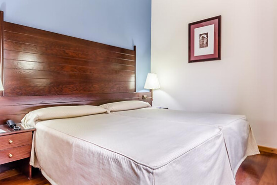 HOTEL ALBARRACIN - photo 5