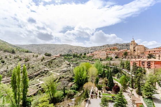 HOTEL ALBARRACIN - photo 9