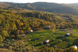 Tenuta San Lodovico