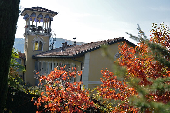Villa Althea - photo 4