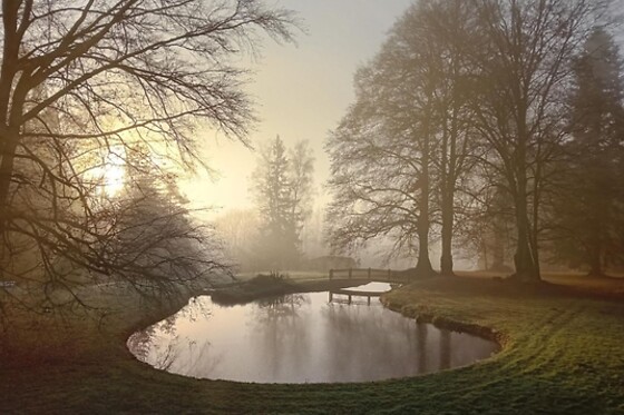 Domaine de Marchal - photo 1