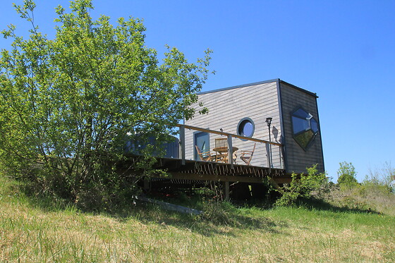 Nébuleuse - photo 7