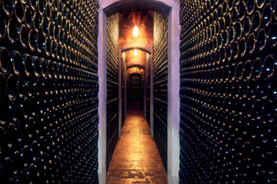 BODEGA PIRINEOS - photo 4