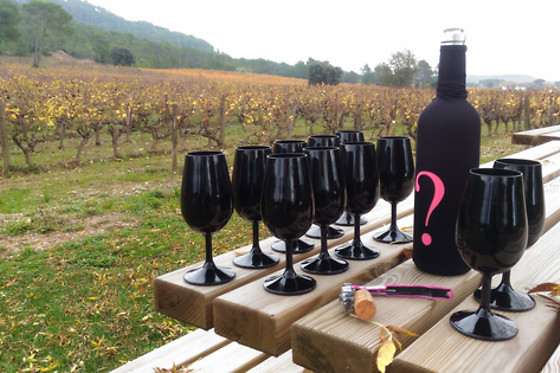Vigno'Vins - photo 0