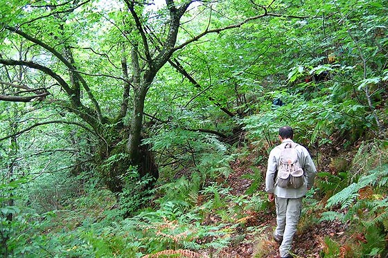 Trans Serrano - Aventura, Lazer e Turismo - photo 5