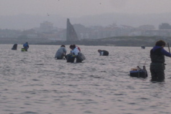 ASOC. CULT. MULLERES DO MAR DE CAMBADOS GUIMATUR (GUIMATUR) - photo 4