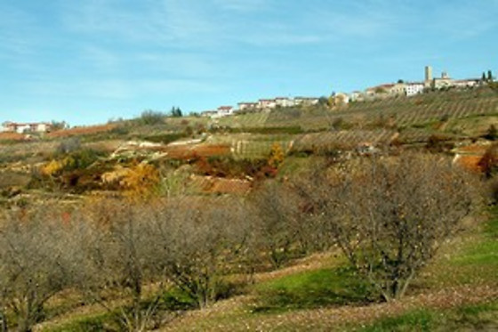Agriturismo Al Brich - photo 1