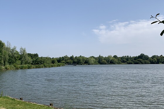 Natura resort pescalis - photo 17