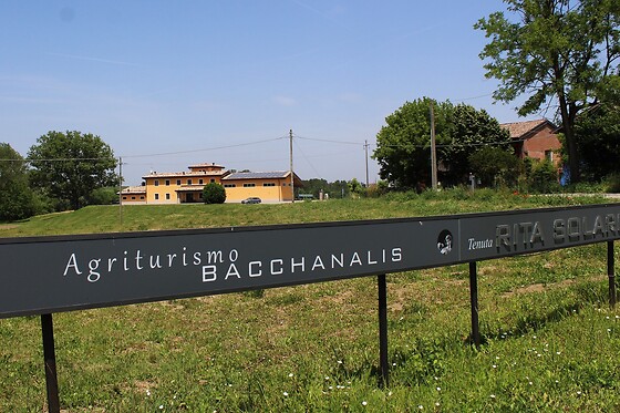 Agriturismo Bacchanalis - photo 10
