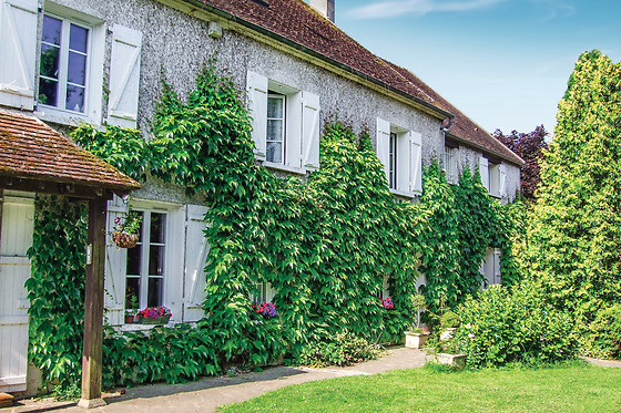 La Marvalière - photo 10