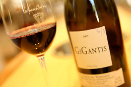 VMV Vignerons du Mont Ventoux