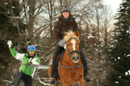 Happy Horses