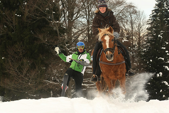 Happy Horses - photo 0