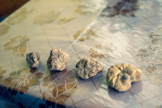 Truffle Experience - photo 2