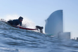 MANIHI SURF