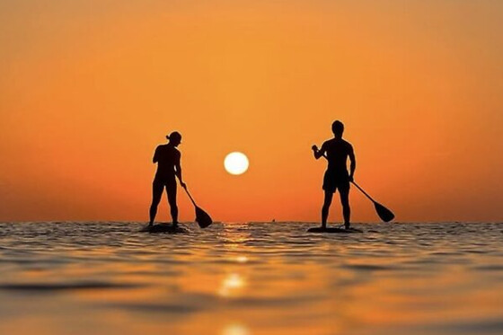 MANIHI SURF - photo 3