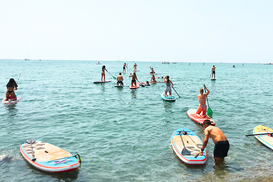MANIHI SURF - photo 6