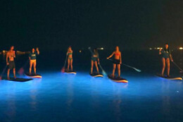 MANIHI SURF