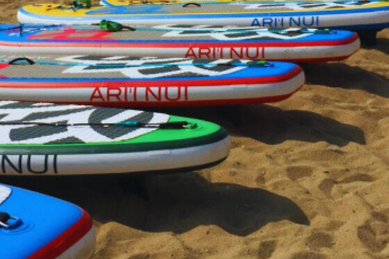 MANIHI SURF - photo 16