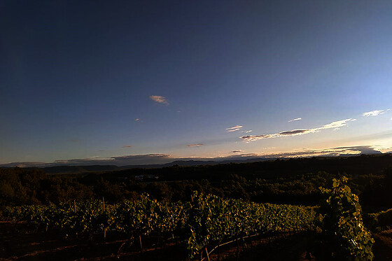 BODEGA PIRINEOS - photo 6