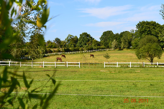 Domaine des Vaulx - photo 11